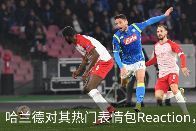 哈兰德对其热门表情包Reaction，荷兰弟想招募他到热刺？
